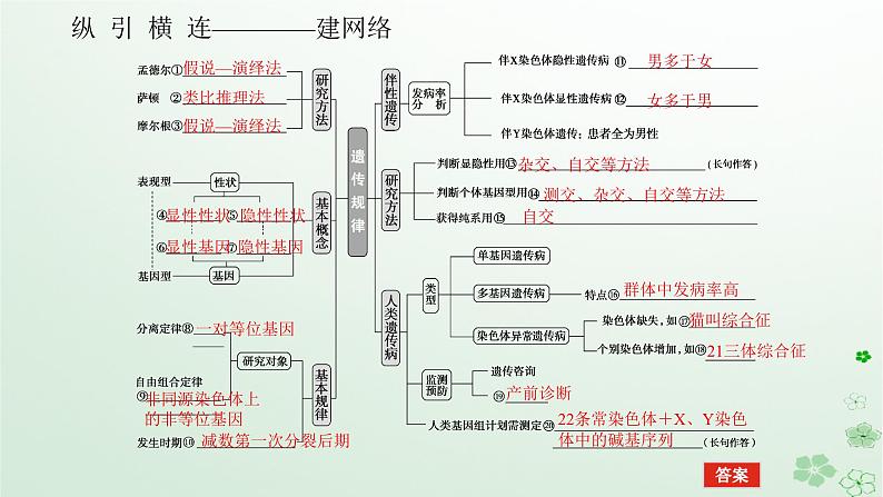 统考版2024高考生物二轮专题复习专题四生命系统的遗传变异育种与进化第2讲遗传的基本规律与人类遗传参件课件PPT05