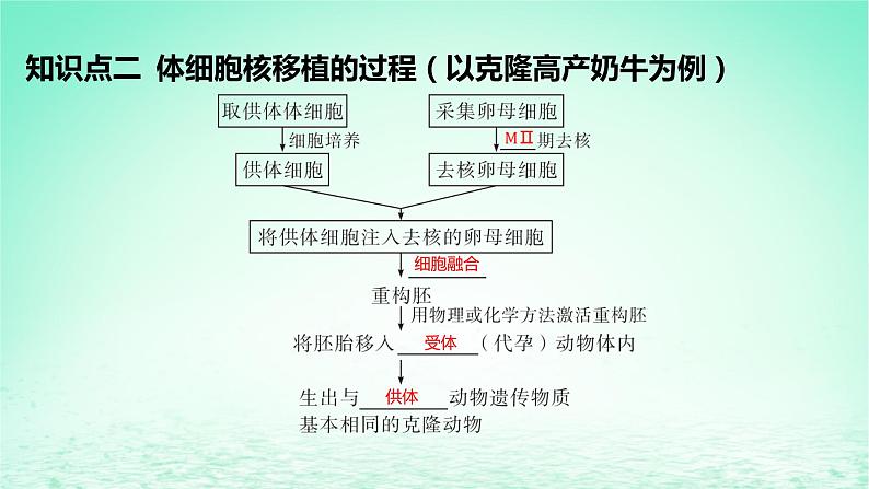 江苏专版2023_2024学年新教材高中生物第2章细胞工程第2节动物细胞工程第3课时动物体细胞核移植技术和克炉物课件新人教版选择性必修3第6页