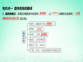 江苏专版2023_2024学年新教材高中生物第4章基因的表达第1节基因指导蛋白质的合成第2课时遗传信息的翻译中心法则课件新人教版必修2