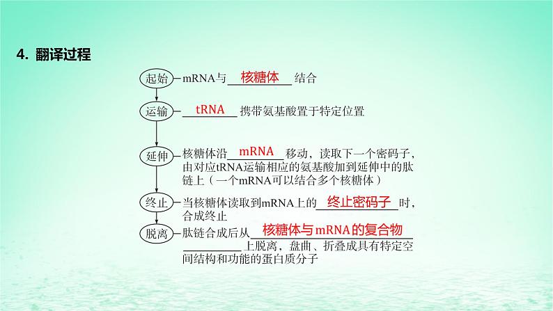 江苏专版2023_2024学年新教材高中生物第4章基因的表达第1节基因指导蛋白质的合成第2课时遗传信息的翻译中心法则课件新人教版必修2第8页