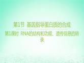 江苏专版2023_2024学年新教材高中生物第4章基因的表达第1节基因指导蛋白质的合成第1课时RNA的结构和功能遗传信息的转录课件新人教版必修2