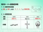 江苏专版2023_2024学年新教材高中生物第4章基因的表达第1节基因指导蛋白质的合成第1课时RNA的结构和功能遗传信息的转录课件新人教版必修2