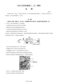 2023-2024学年北京东城区高二上学期期末生物试题及答案