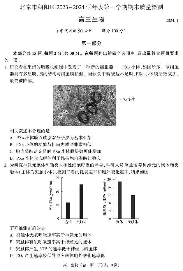 2024北京朝阳高三（上）期末生物试题及答案第1页