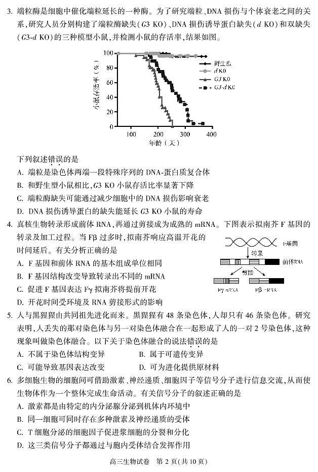 2024北京朝阳高三（上）期末生物试题及答案第2页