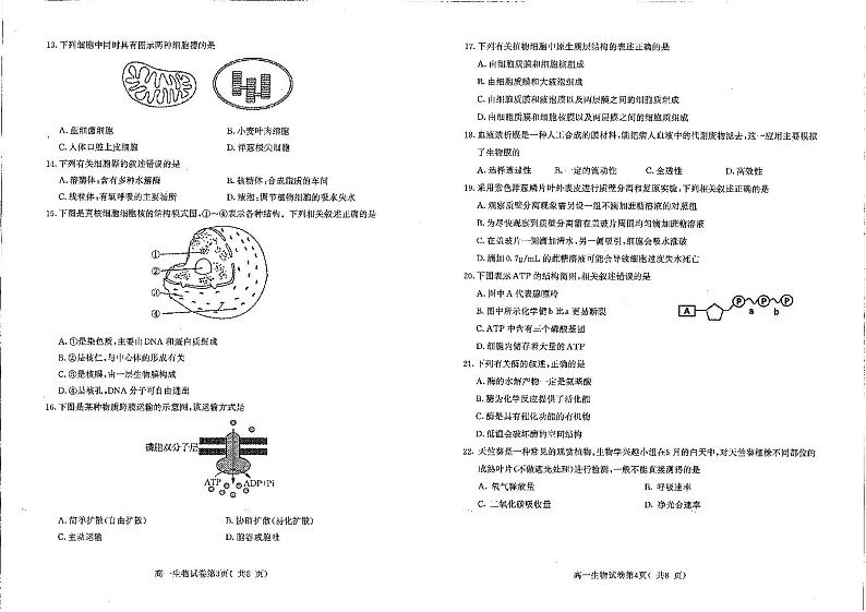 南京市2023-2024高一上学期期末生物试卷及答案第2页