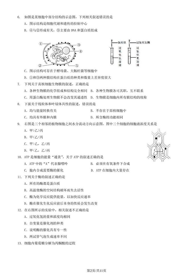 2023-2024学年北京延庆高一上学期期末生物试题及答案02