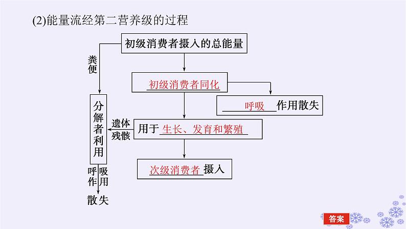 新教材2023版高中生物第3章生态系统及其稳定性第2节生态系统的能量流动课件新人教版选择性必修2第7页