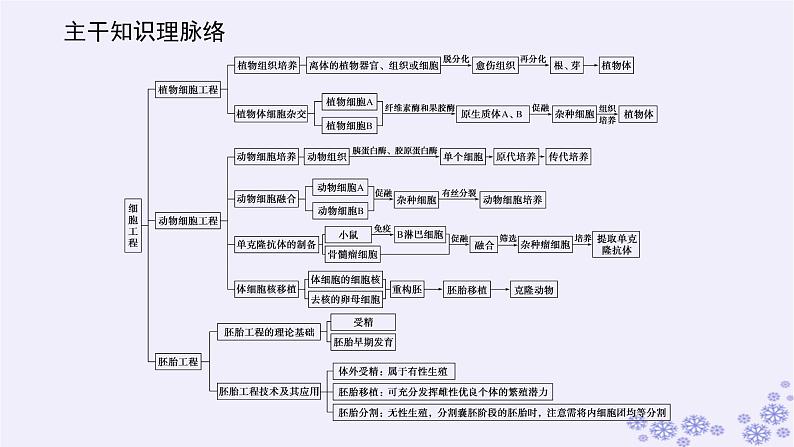 新教材2023版高中生物第2章细胞工程单元素能提升课件新人教版选择性必修302