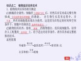新教材2023版高中生物第2章细胞工程第1节植物细胞工程第1课时植物细胞工程的基本技术课件新人教版选择性必修3