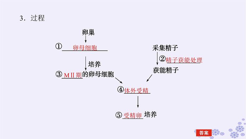 新教材2023版高中生物第2章细胞工程第3节胚胎工程第2课时胚胎工程技术及其应用课件新人教版选择性必修305