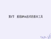 新教材2023版高中生物第3章基因工程第1节重组DNA技术的基本工具课件新人教版选择性必修3