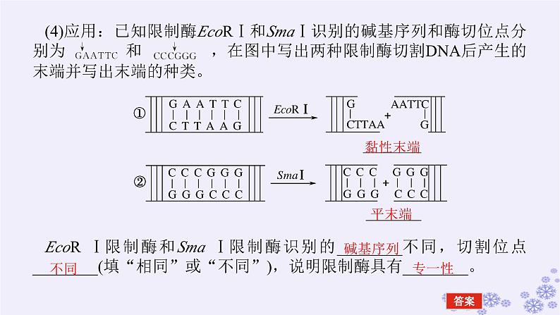 新教材2023版高中生物第3章基因工程第1节重组DNA技术的基本工具课件新人教版选择性必修307