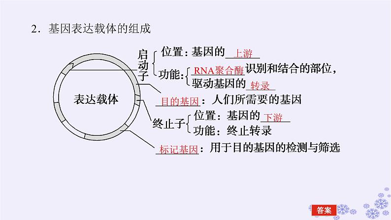 新教材2023版高中生物第3章基因工程第2节基因工程的基本操作程序课件新人教版选择性必修308