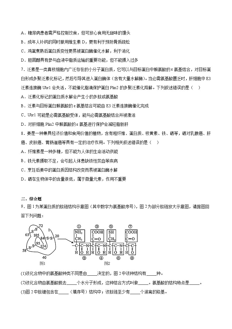 考点通关卷04 蛋白质和核酸（原卷版）第3页