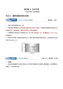 考点通关卷10 光合作用-备战2024年高考生物一轮复习精品高效导与练