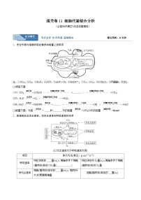 考点通关卷11 细胞代谢综合分析-备战2024年高考生物一轮复习精品高效导与练