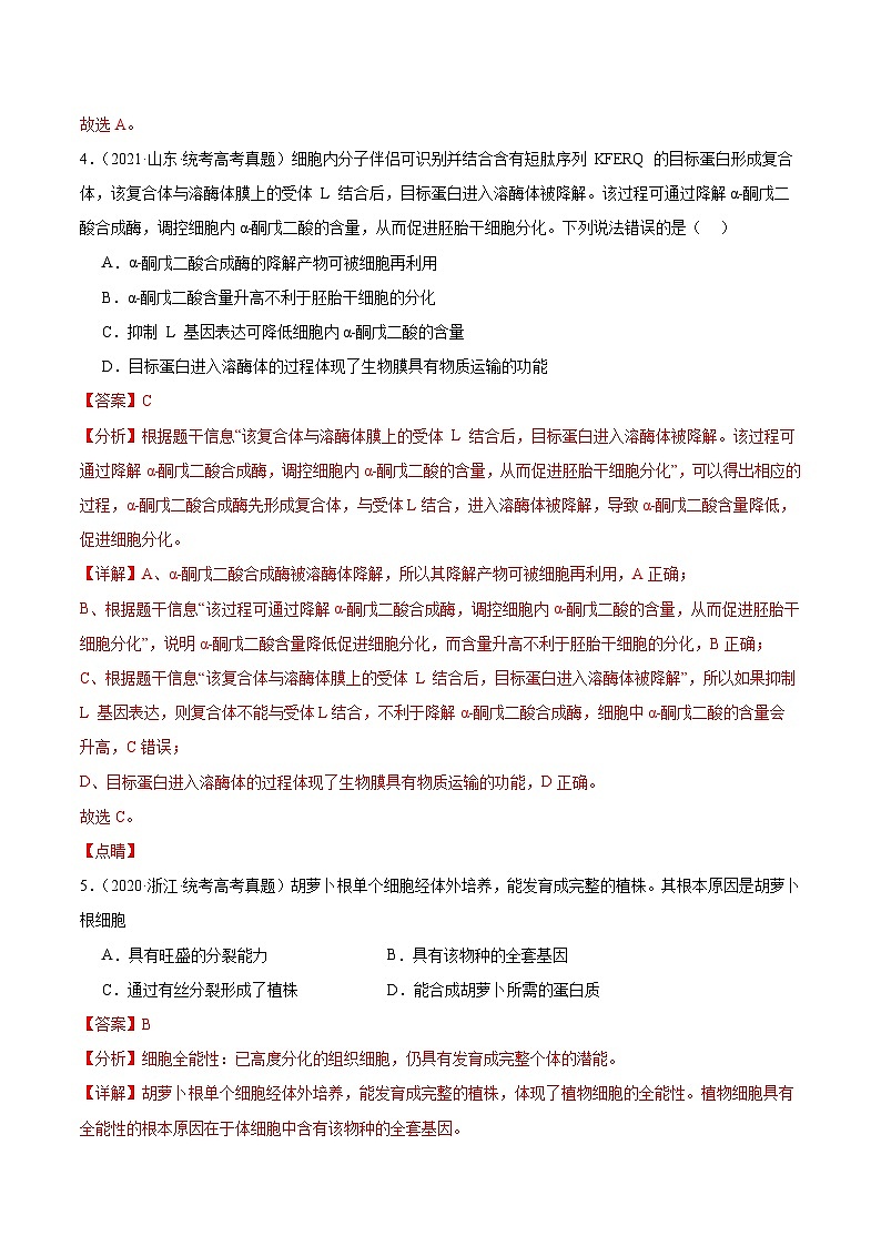 考点通关卷14 细胞分化、衰老、凋亡和癌变-备战2024年高考生物一轮复习精品高效导与练03