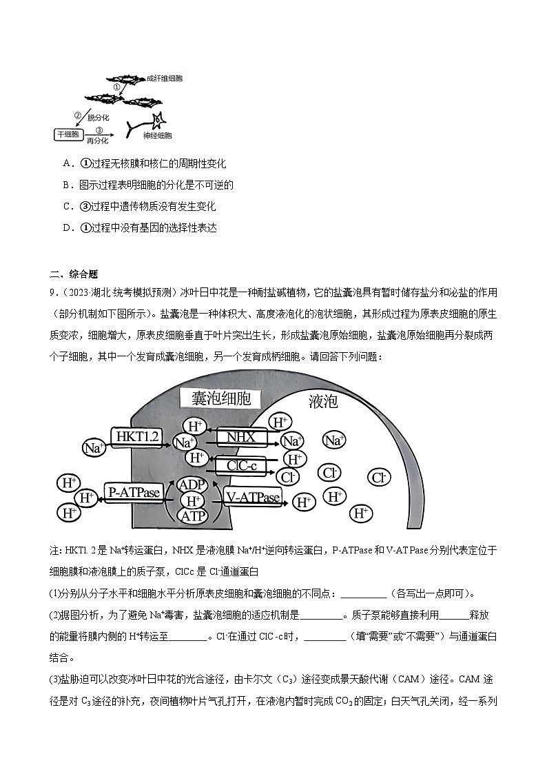考点通关卷14 细胞分化、衰老、凋亡和癌变-备战2024年高考生物一轮复习精品高效导与练03