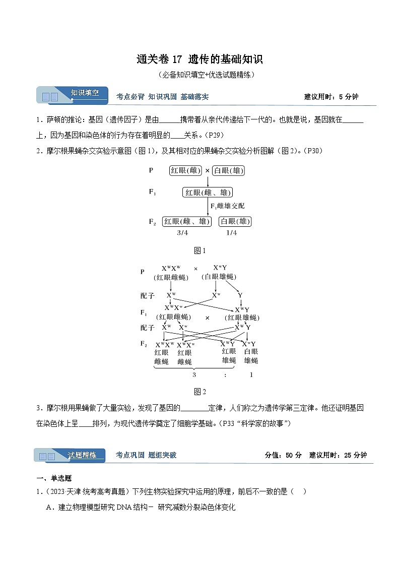 考点通关卷17 遗传的基础知识（原卷版）第1页