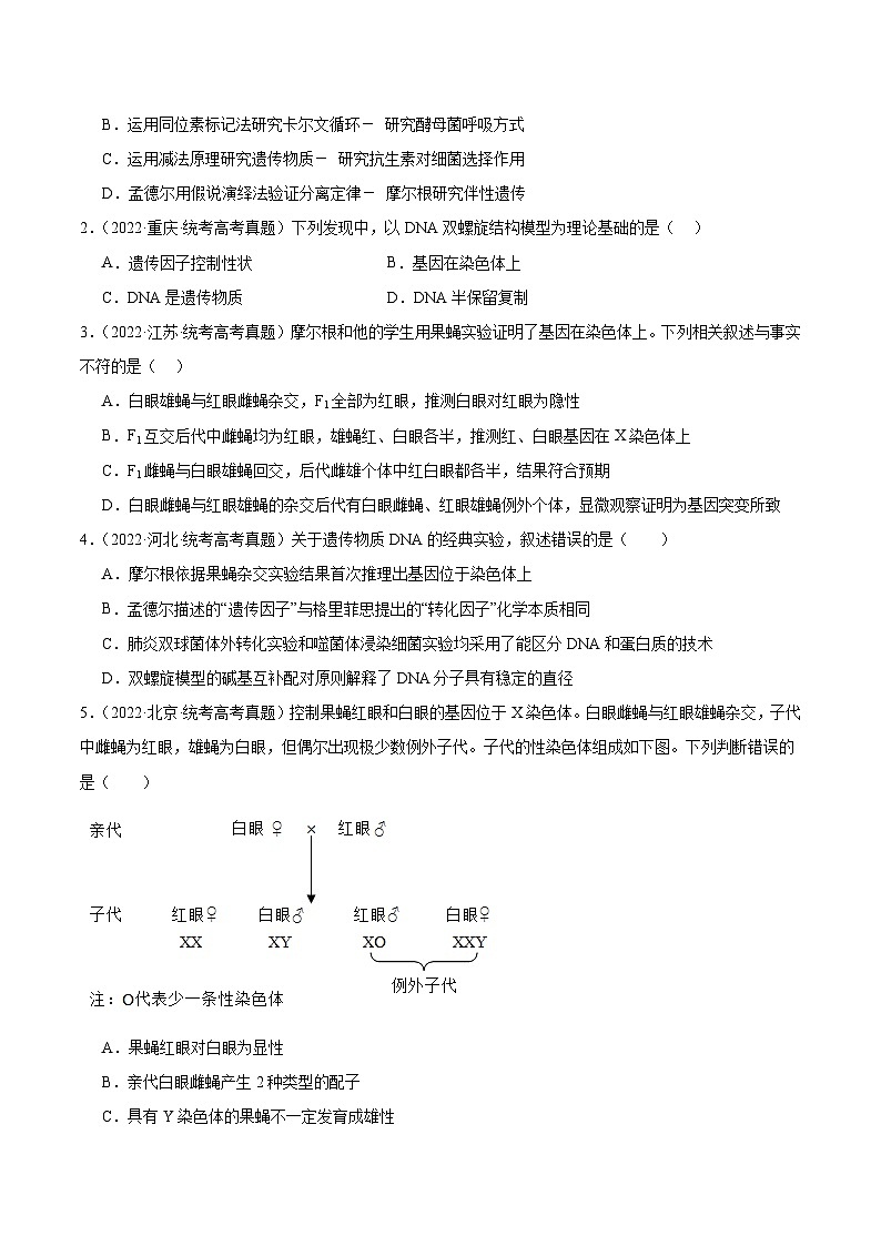 考点通关卷17 遗传的基础知识（原卷版）第2页