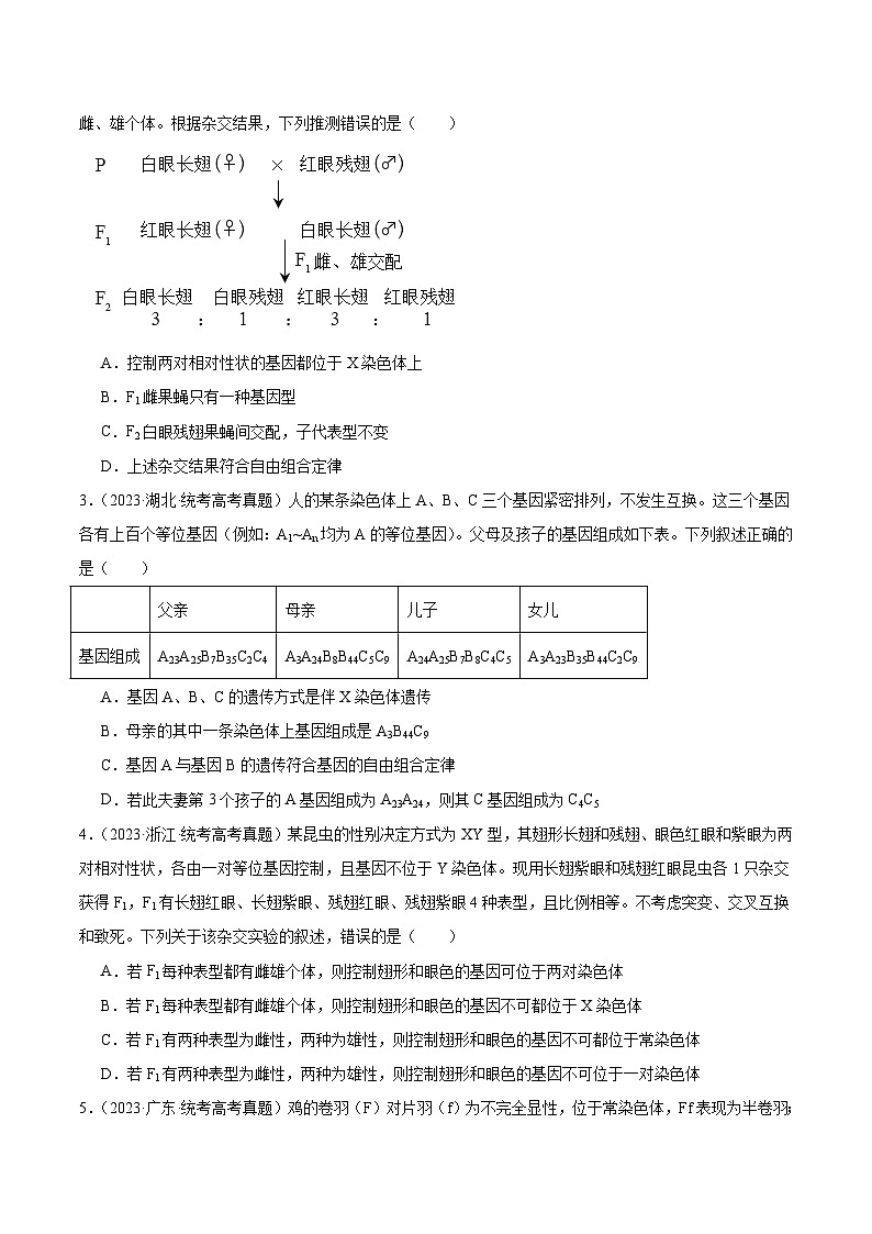 考点通关卷18 伴性遗传和人类遗传病（原卷版）第2页