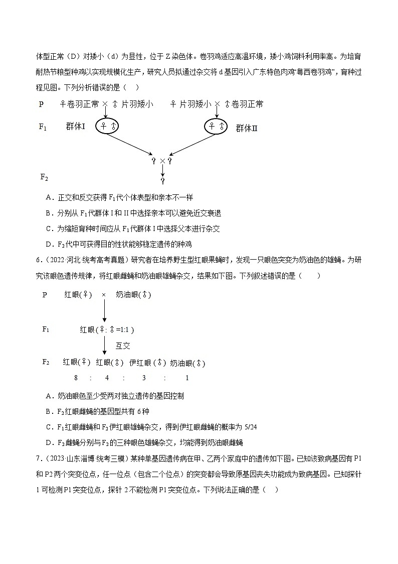 考点通关卷18 伴性遗传和人类遗传病（原卷版）第3页