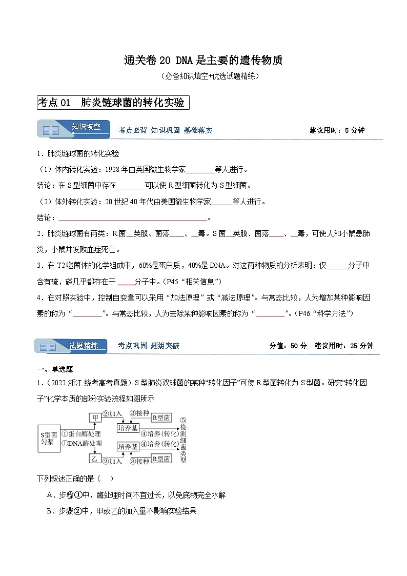 考点通关卷20 DNA是主要的遗传物质-备战2024年高考生物一轮复习精品高效导与练01