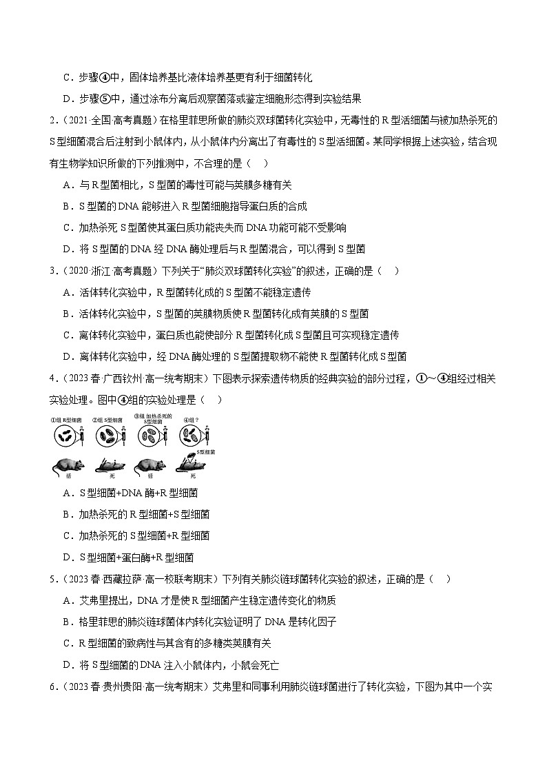 考点通关卷20 DNA是主要的遗传物质-备战2024年高考生物一轮复习精品高效导与练02