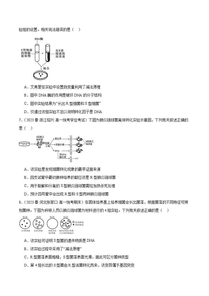 考点通关卷20 DNA是主要的遗传物质-备战2024年高考生物一轮复习精品高效导与练03
