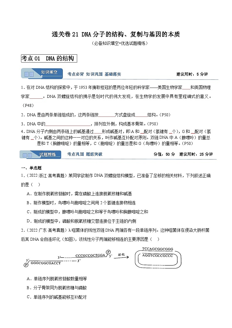 考点通关卷21 DNA分子的结构、复制与基因的本质（原卷版）第1页