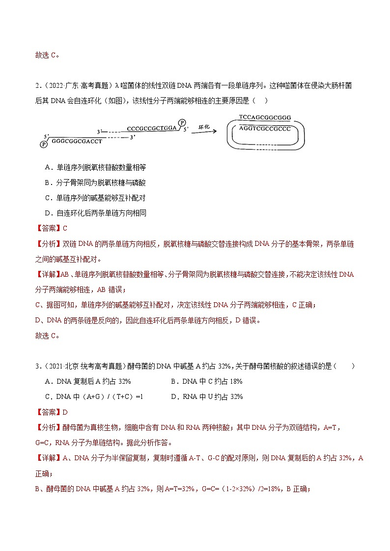 考点通关卷21 DNA分子的结构、复制与基因的本质（解析版）第2页