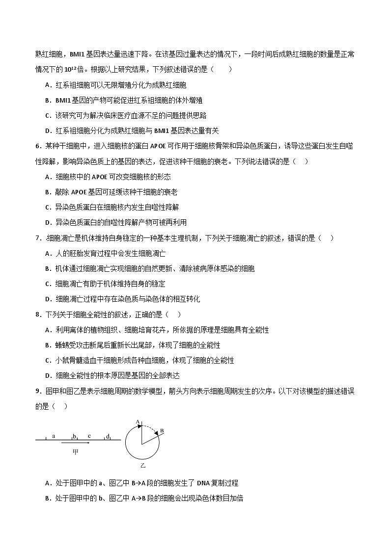 单元检测卷04 细胞的生命历程（原卷版）第2页