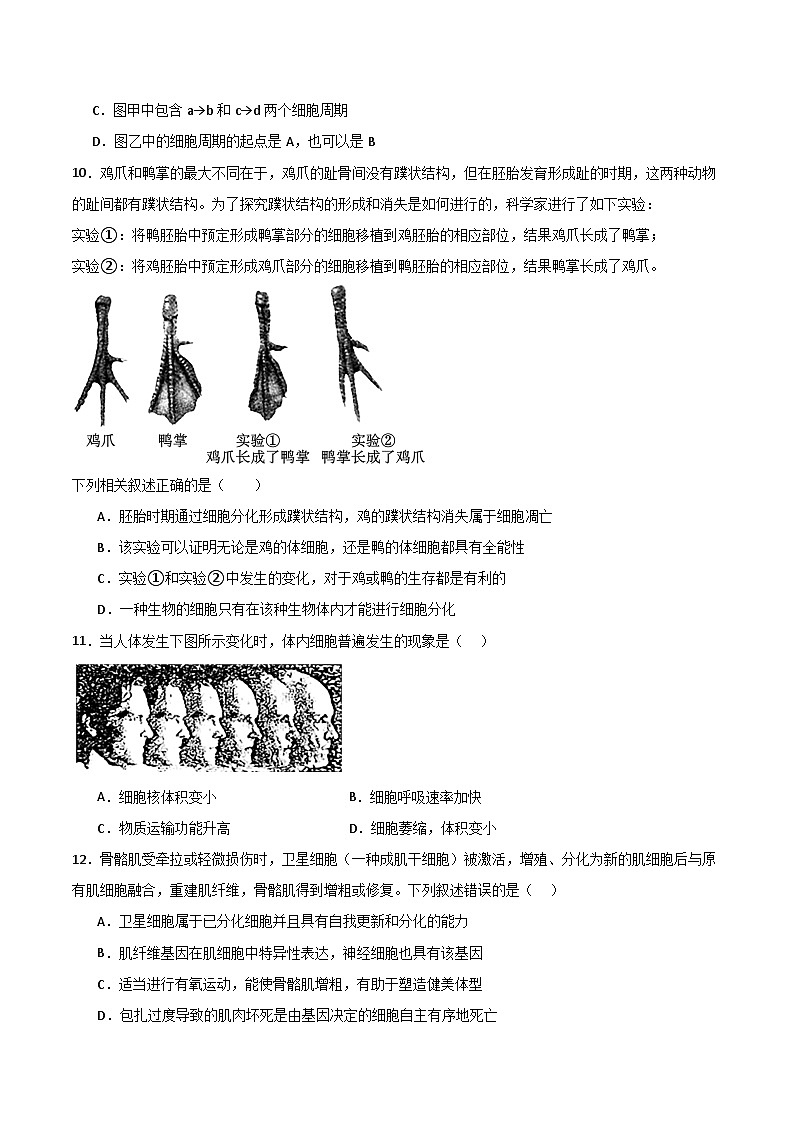 单元检测卷04 细胞的生命历程（原卷版）第3页