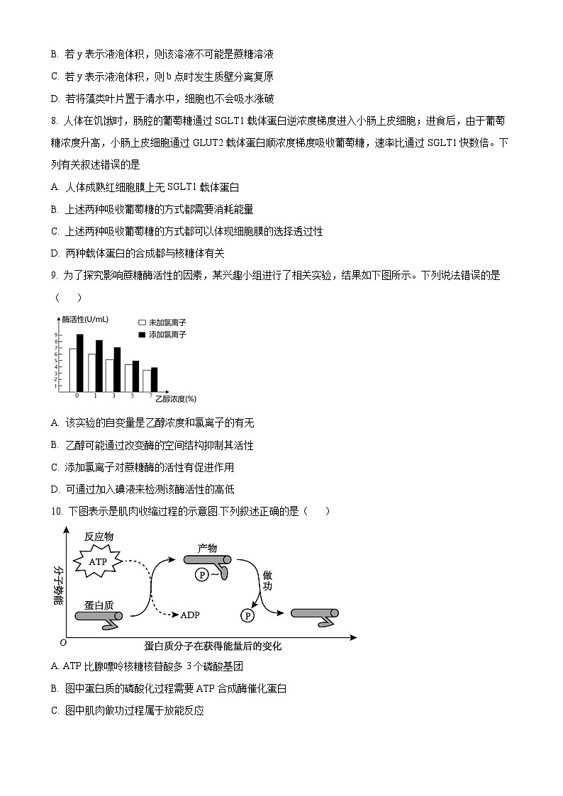 2024锦州高一上学期期末考试生物含解析第3页