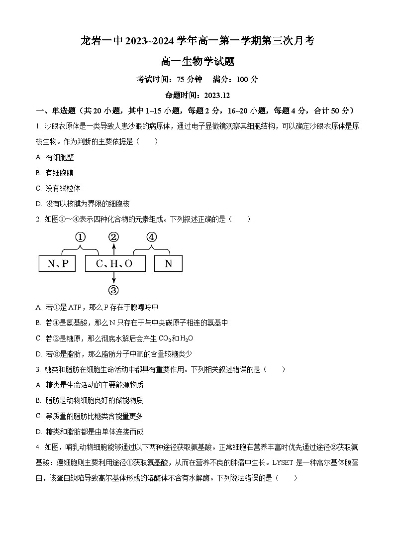 福建省龙岩市新罗区一中2023-2024学年高一上学期第三次月考生物试题（原卷版）第1页