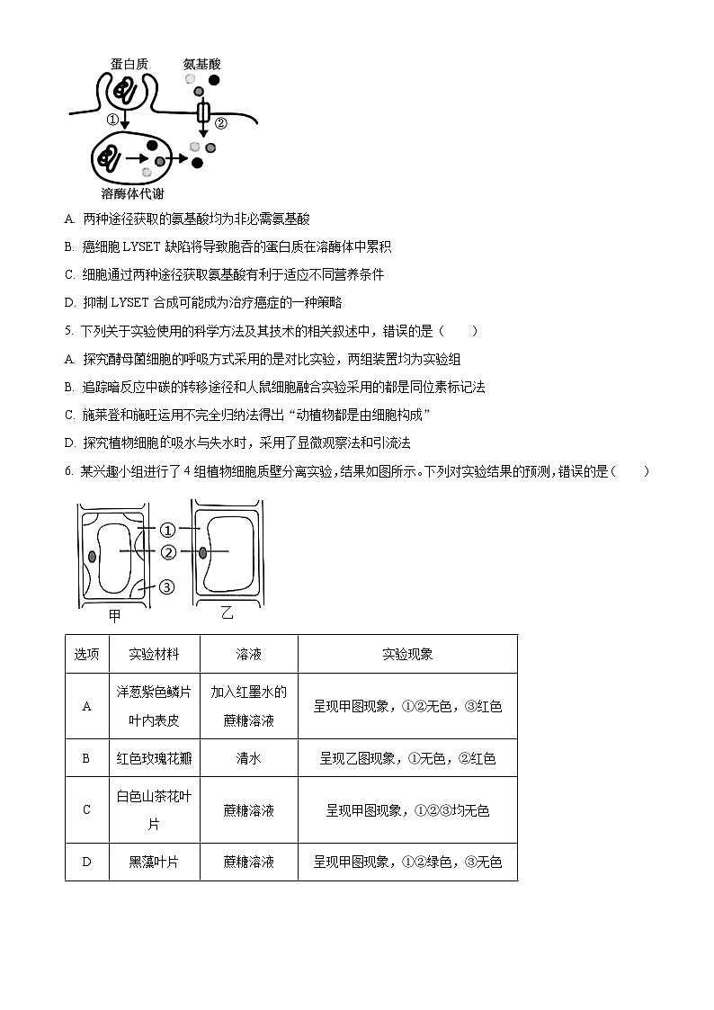 福建省龙岩市新罗区一中2023-2024学年高一上学期第三次月考生物试题（原卷版）第2页