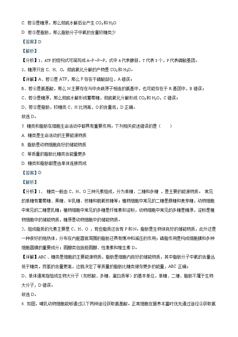 福建省龙岩市新罗区一中2023-2024学年高一上学期第三次月考生物试题（解析版）第2页