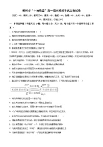 2024郴州“十校联盟”高一上学期期末模拟生物试题含解析