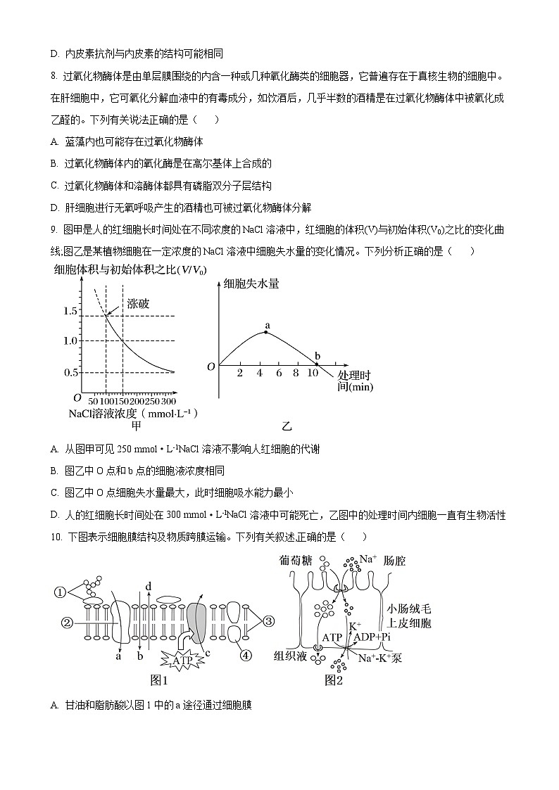 2024枣庄三中高一上学期1月期末模拟检测考试生物含解析第3页