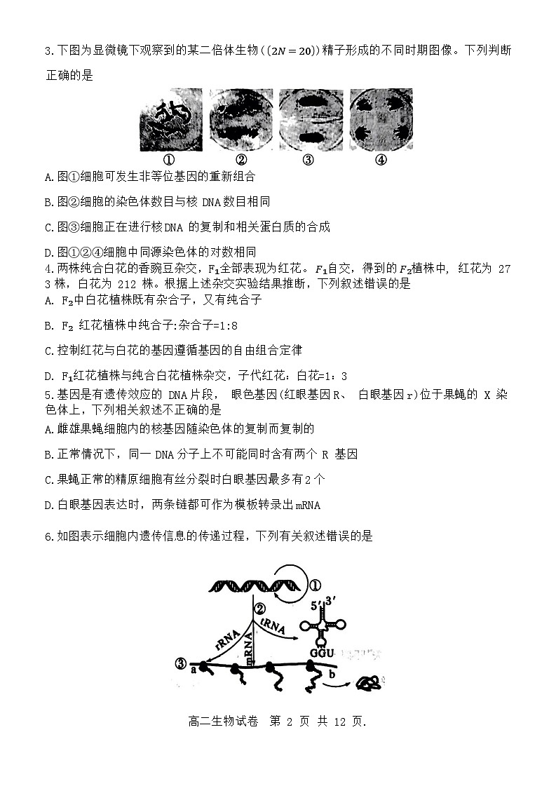 重庆市巴蜀中学2023-2024学年高二上学期1月期末生物试题（Word版附解析）02