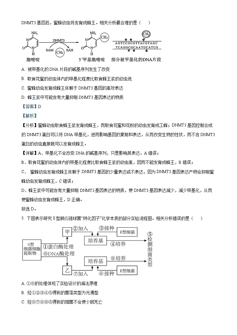 重庆市巴蜀中学2023-2024学年高二上学期期中考试生物试题（Word版附解析）03