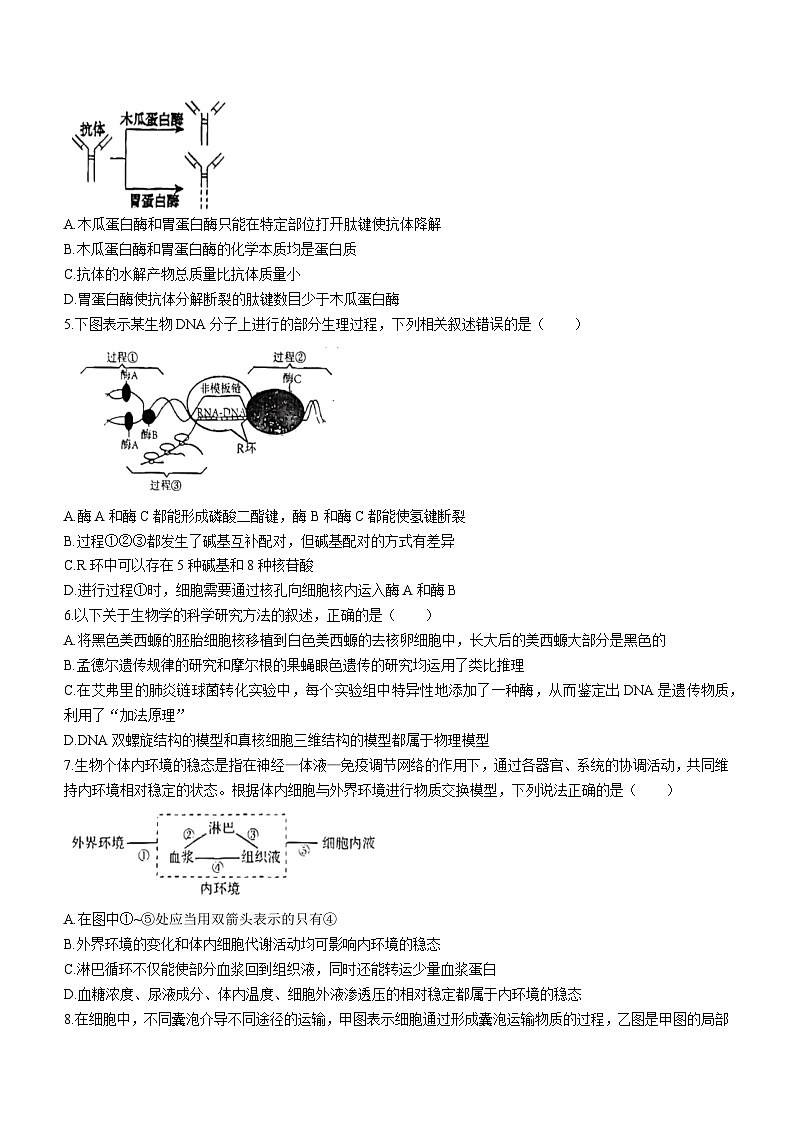 广东省潮州市2023-2024学年高三上学期期末教学质量检测生物试题第2页