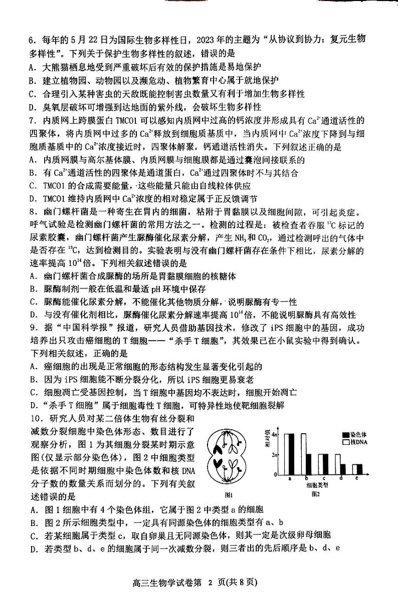 丹东市2023-2024上学期期末高三生物试题第2页