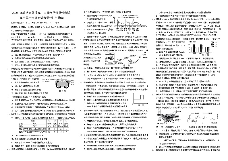 2024重庆市普通高等学校招生高三第一次联合诊断检测（康德卷）生物试题01