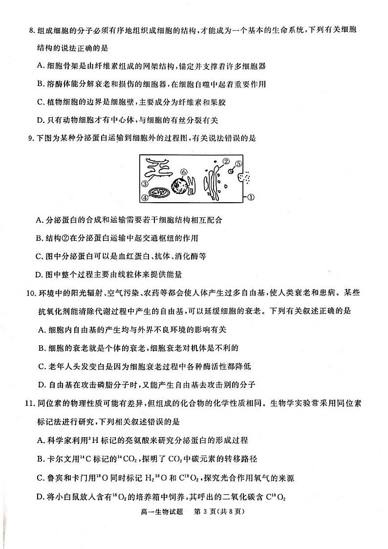 四川省眉山市高中2023-2024学年高一上学期1月期末生物试题第3页