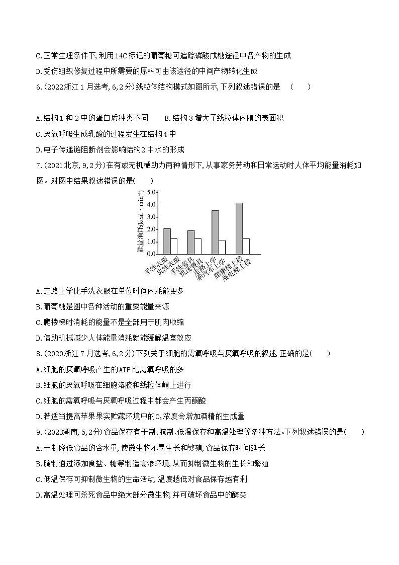 【寒假作业】人教版（2019）高中生物 高一寒假巩固专题训练 作业04 细胞呼吸-练习.zip02