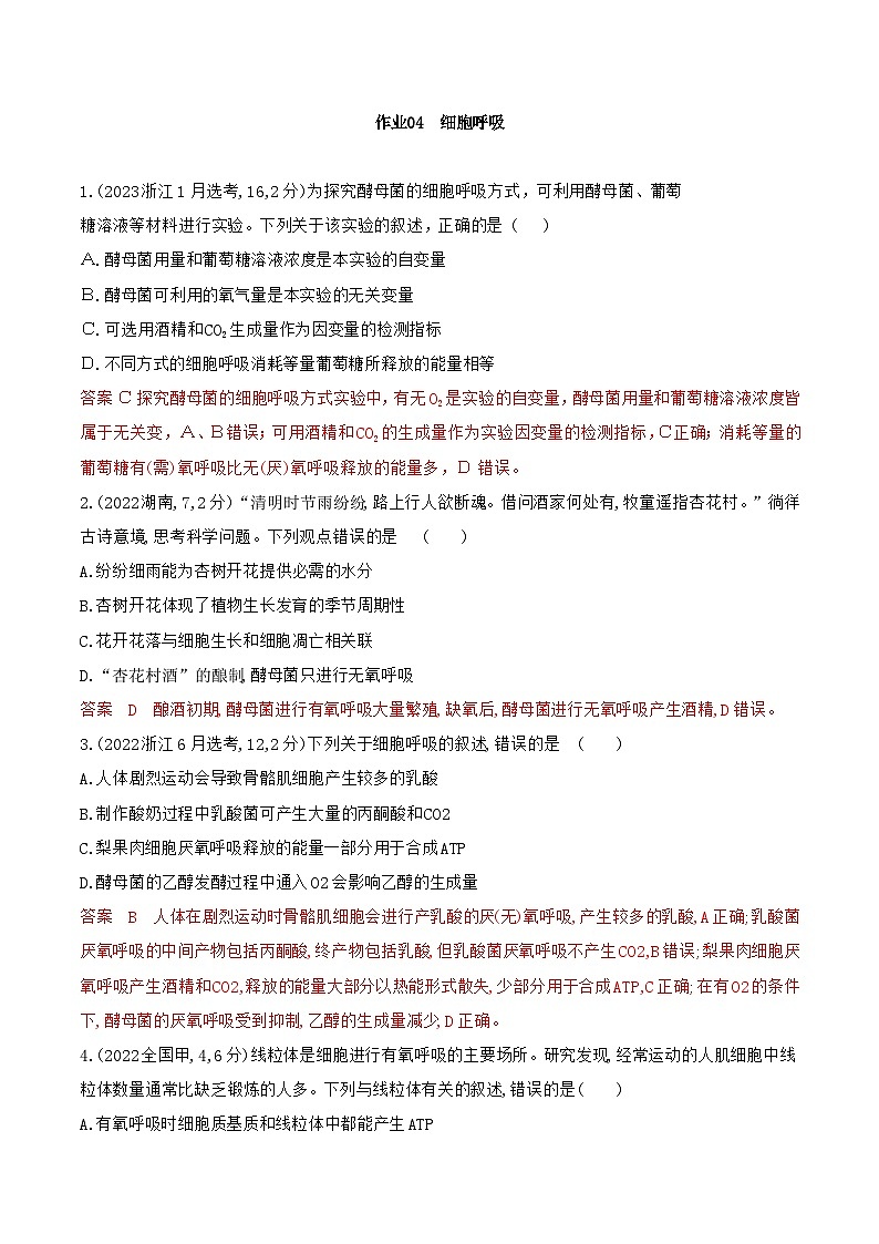 【寒假作业】人教版（2019）高中生物 高一寒假巩固专题训练 作业04 细胞呼吸-练习.zip01
