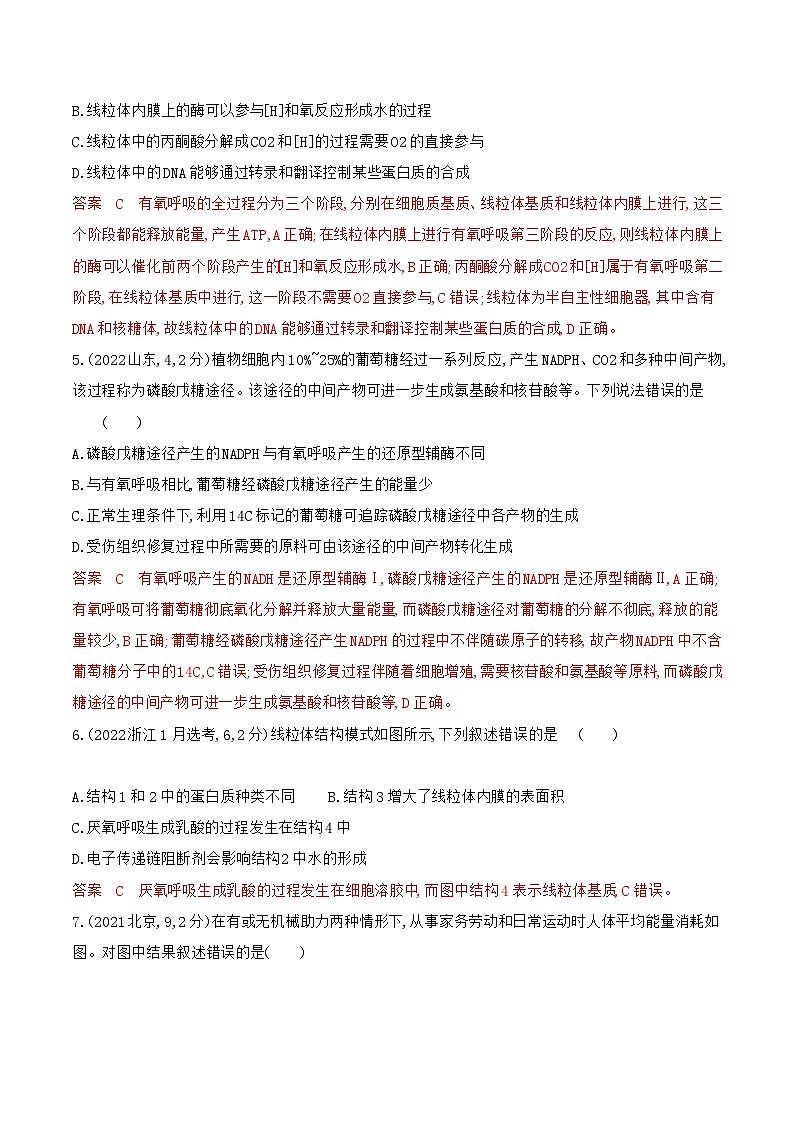 【寒假作业】人教版（2019）高中生物 高一寒假巩固专题训练 作业04 细胞呼吸-练习.zip02