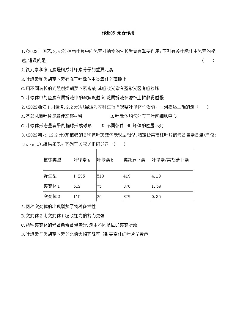 【寒假作业】人教版（2019）高中生物 高一寒假巩固专题训练 作业05 光合作用（原卷版）第1页